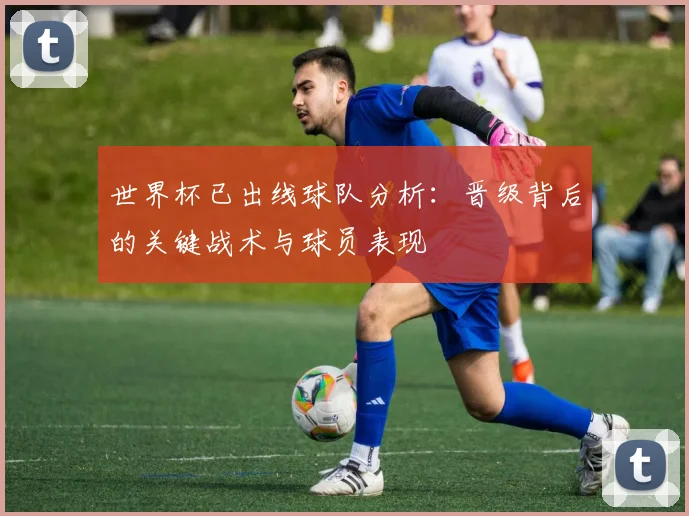 世界杯已出线球队分析:晋级背后的关键战术与球员表现